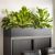 Urban Nature